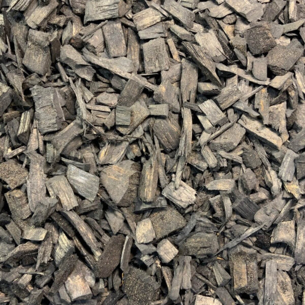 Black Pine Chip