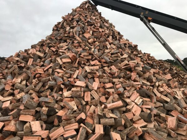 Bluegum Firewood