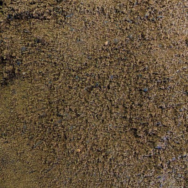 Turf Mix (special order)