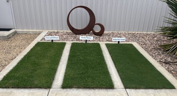 Lawn Showcase